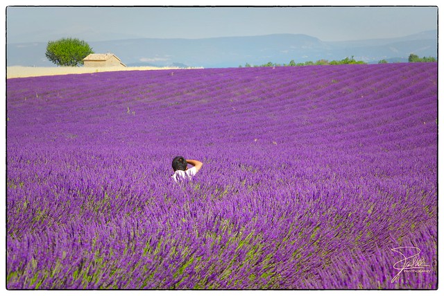 Photographing the Provence