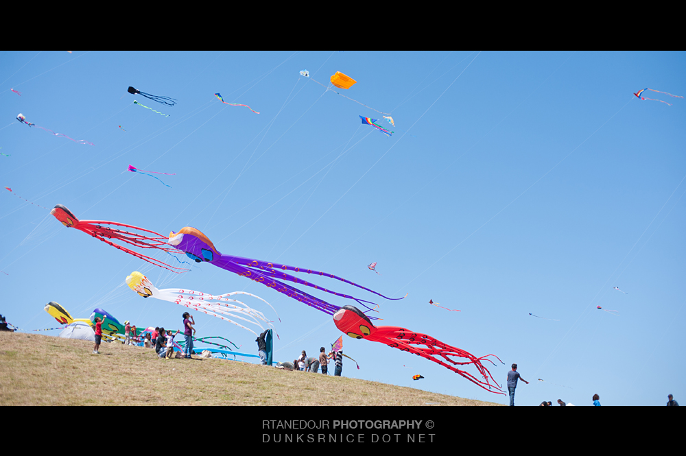 2012 Berkeley Kite Festival.