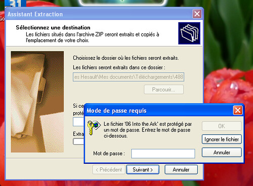 zip de ms-windows = fail !