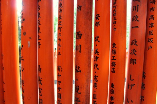 pillars of torii