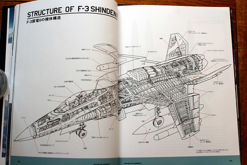 Ace Combat Master File - ASF-X SHINDEN II - 10
