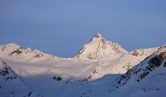 Gran Zebru (3581m) z podejścia na Monte Cevedale