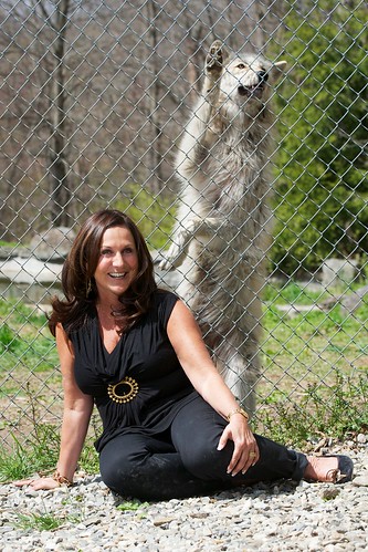 Stacyknows at the Wolf Center  South salem, ny by sgeisco2001
