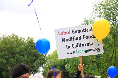 GMO Labeling in California