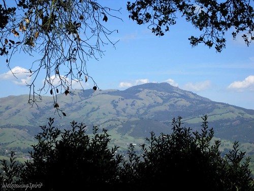 Mount Diablo from San Damiano
