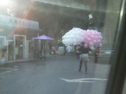空飄氣球外送，珍珠粉紅色，珍珠白色 by 豆豆氣球材料屋 http://www.dod.com.tw