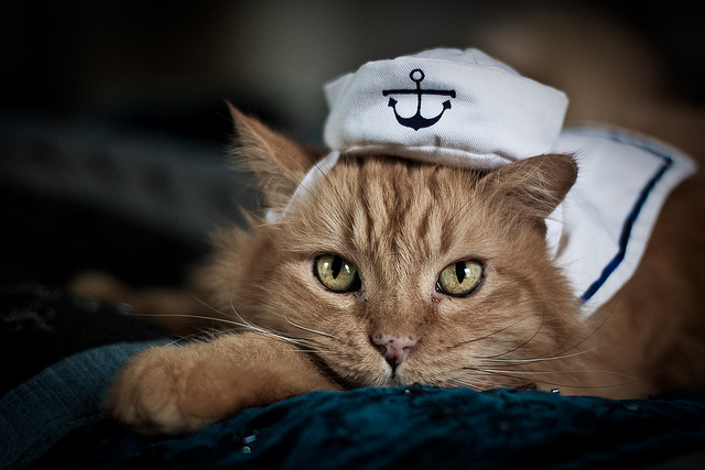 Puddy sailor
