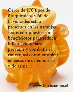 Beneficios de la Naranja 1 - Presentado Por Frutas y Verduras a Domicilio, Buencampo.cl