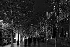 2012-05-28 - Melbourne by Night