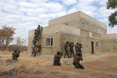 U.S., Botswana Special Forces train together