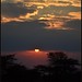 Sun Set, Serengeti