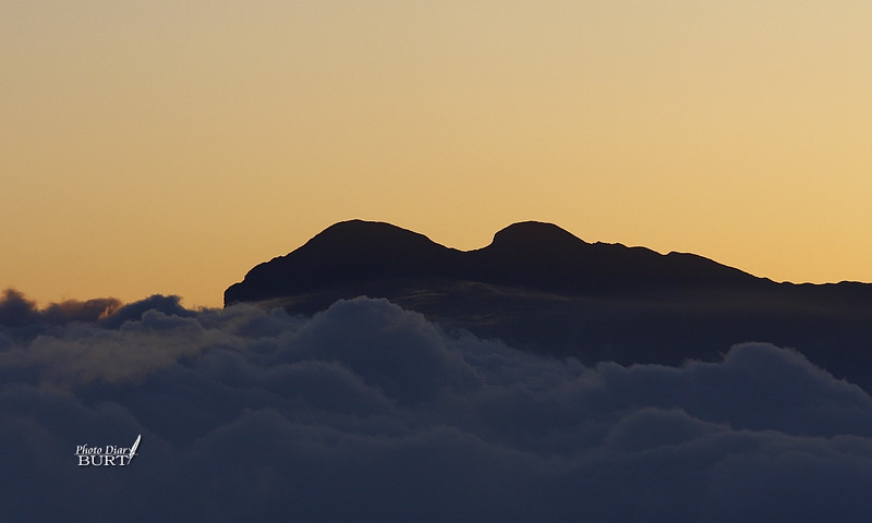 落日與雲海間的雪山峰頂IMG_1419