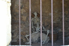 Esqueletos, huesos y otros despojos