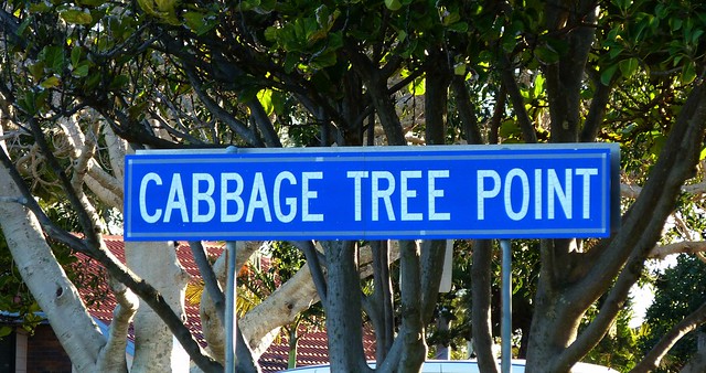 Cabbage Tree Point Sign