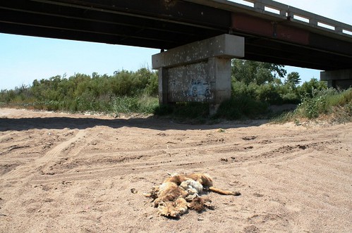 Fwd: Arkansas river drought 2012