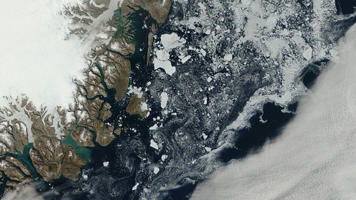 East Greenland Terra MODIS sea ice Aug. 17
