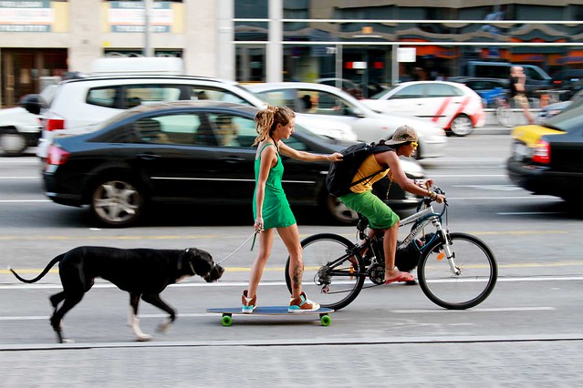 Dog, skateboard & bike