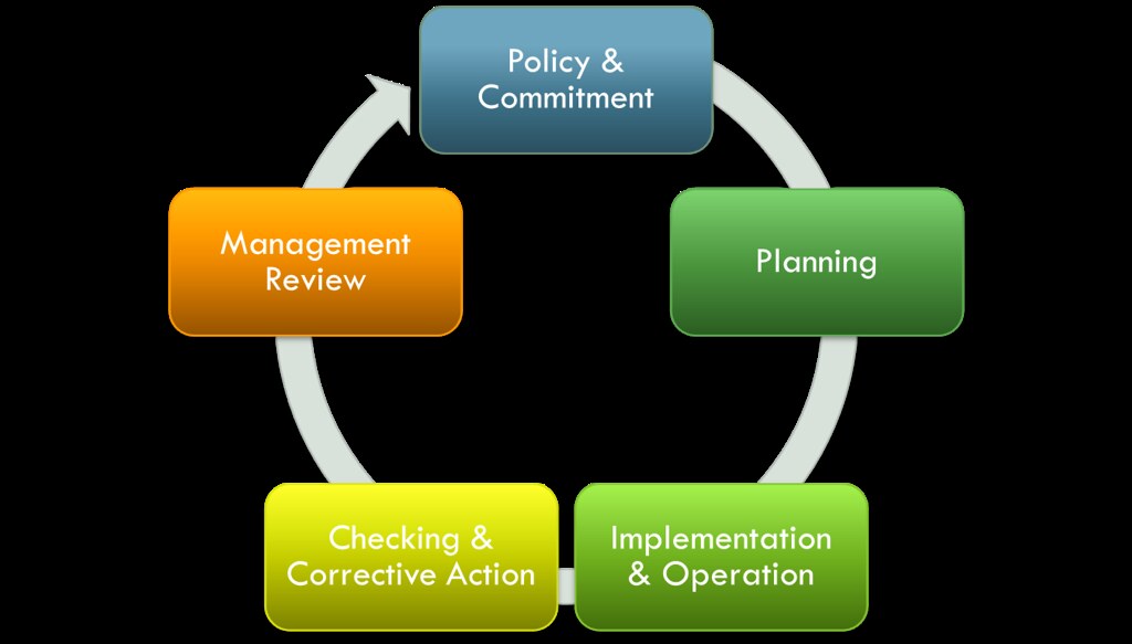 The continuous improvement cycle