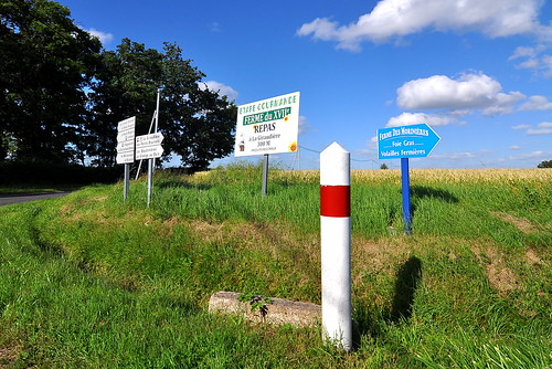 Ferme des Morinières - Loire Valley