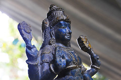 Vedic dharma