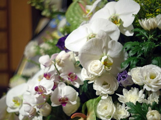 The flower offered for the deceased .