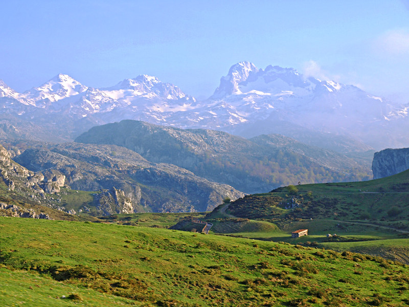 Meadow in Picos de Europa, Asturias
