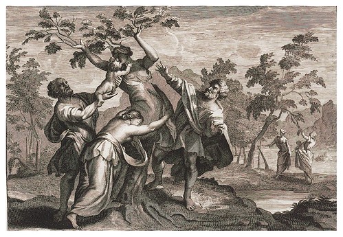 014- Driope transformada en un arbol-Ovid's Metamorphoses In Latin And English V.2- Bernard Picart-© UniversitättBibliotheK Heidelberg