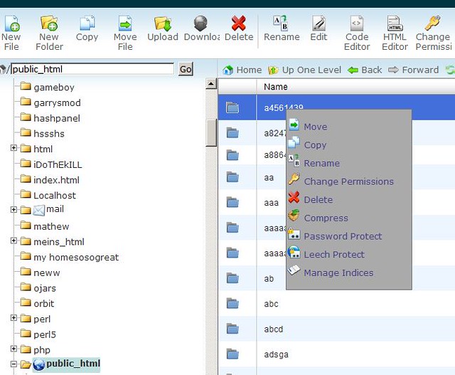 Change Permission In File Manager Panel