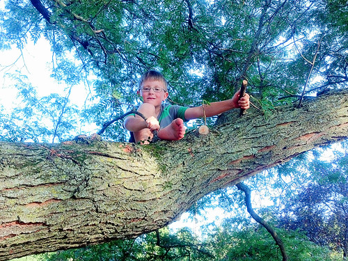 day 2940: tree climbing across the street from butch vig's parent's place.