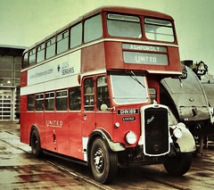 Vintage Buses and Coaches
