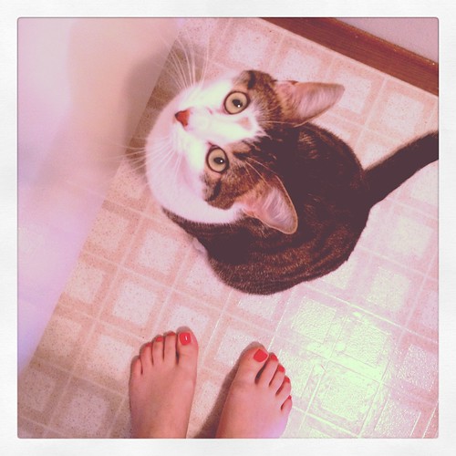 kitty at my feet.
