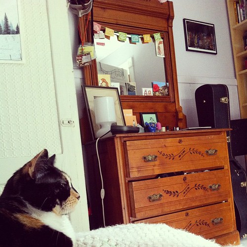 it's small, but she and the cat, like it fine #interiors #home #teen #spaces #diy #thisoldhouse
