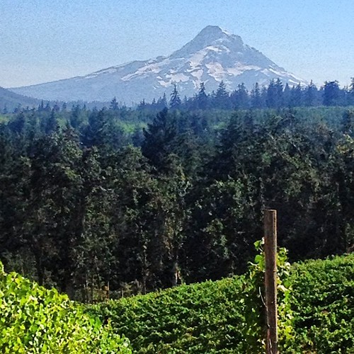 Stupendous view of Mt. Hood from Phelps Creek. #wbc12