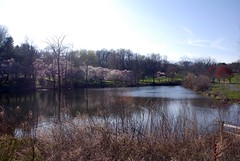 2012.03.30; Spring in Holmdel Park