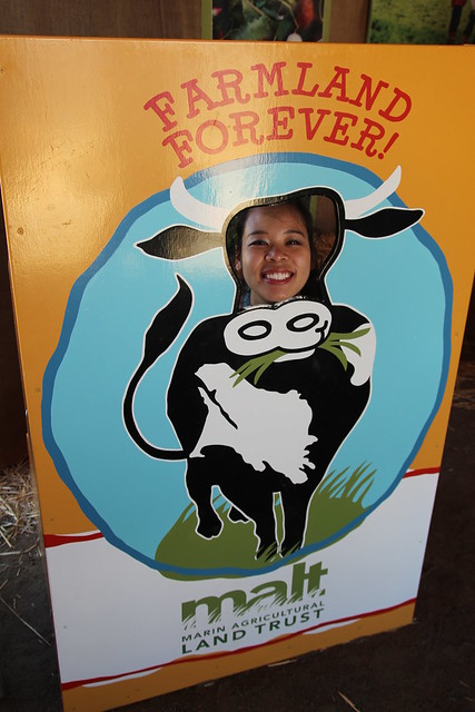 Me as a cow...