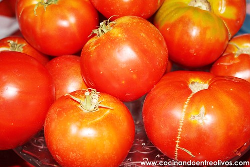 Tomate frito Thermomix (1)