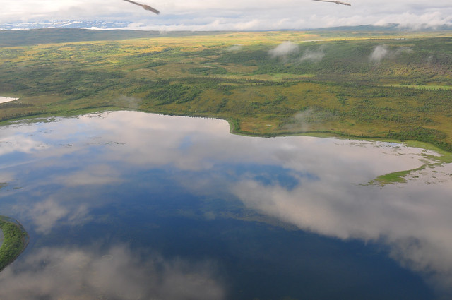 View from the float plane [Katmai National Park]