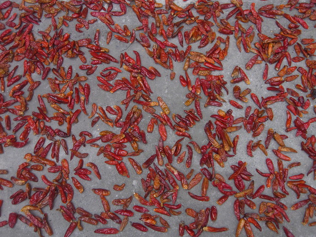 Drying chilis, Hongguang