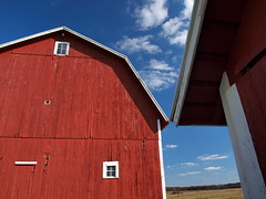 Mid-Michigan Barns & Farms