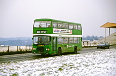 Buses & TfL Road Vehicles