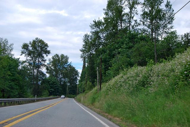 SR 203 south of Duvall