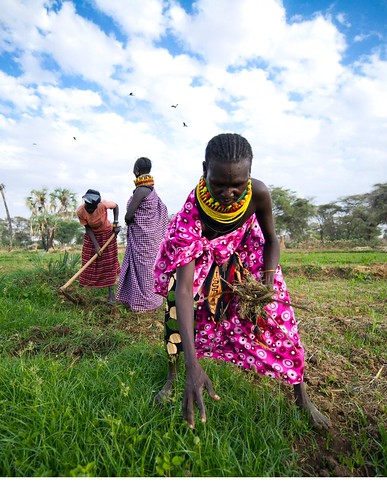 Woman farmers in Kenya, a country where food security is projected to improve over the next decade Photo: World Food Programme