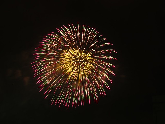 Fireworks Over Tokyo Bay
