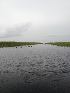 At the Everglades..