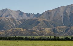 NZ: Arthur's Pass area