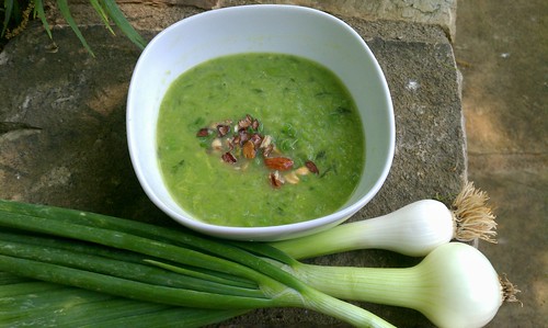 Spring Pea, Ramp, Garlic Onion Soup by atl10trader