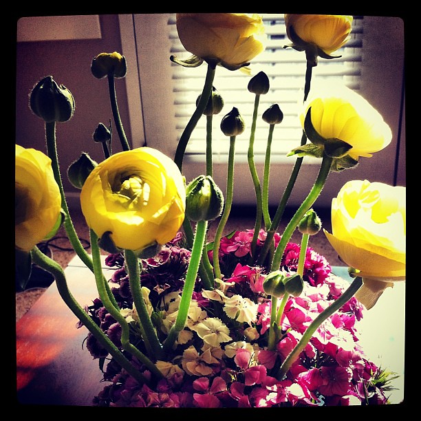 Coffee table flowers