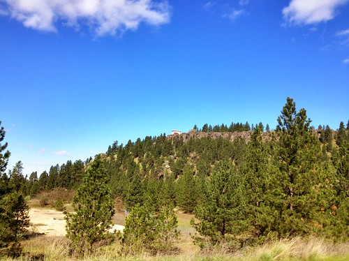 Arbor crest from trail