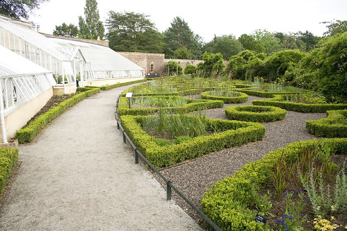 The Knot Garden and Glasshouse