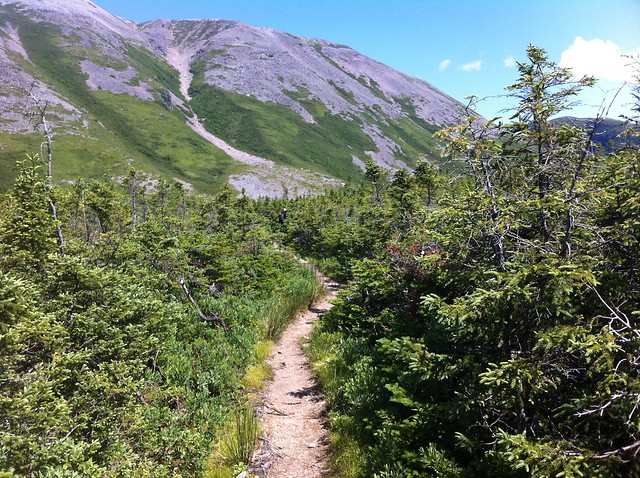 Almost at the base of Gros Morne Mountain